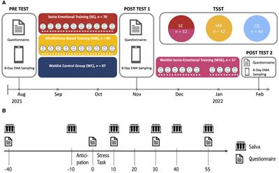 Reducing neuroendocrine psychosocial stress response through socio-emotional dyadic but not mindfulness online training